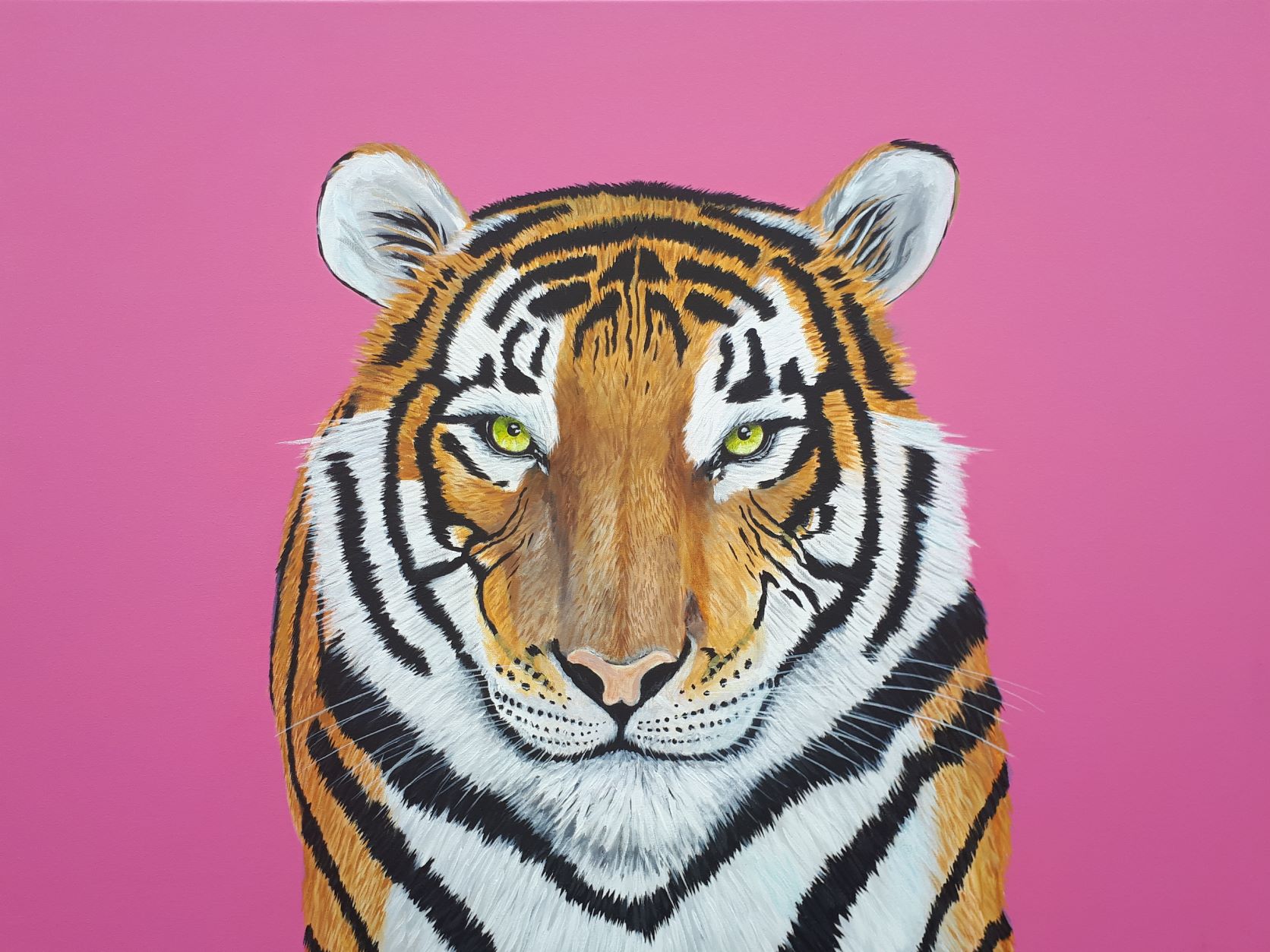2. Pink Tiger resized
