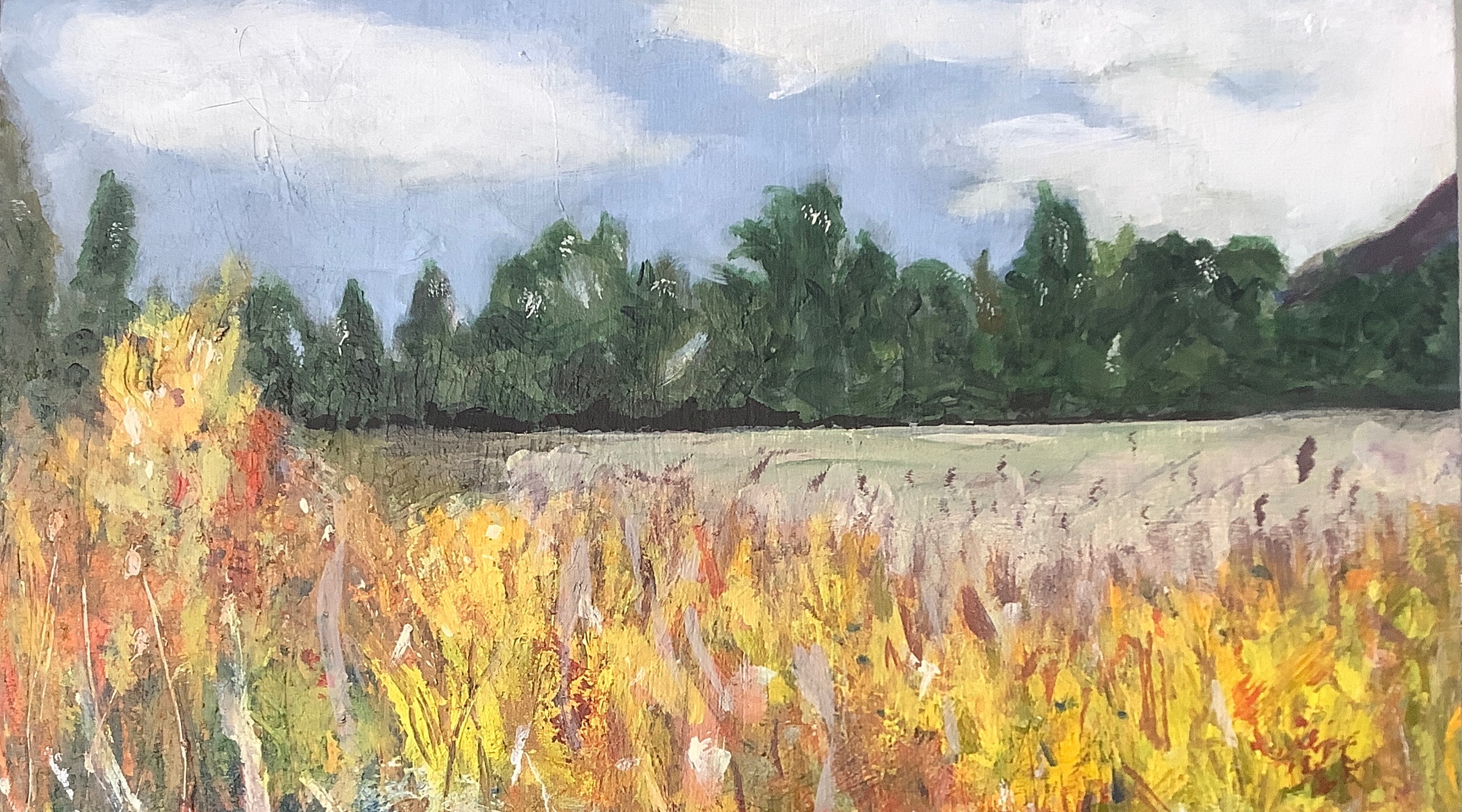 Cornfield 1 Cropped